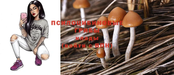 a pvp Белоозёрский