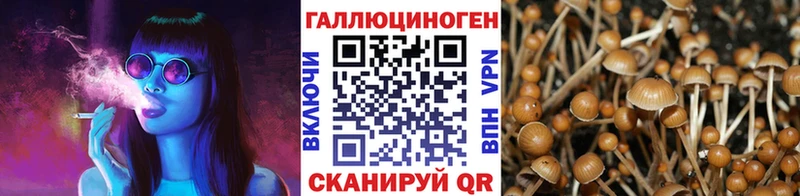 Галлюциногенные грибы ЛСД Белово